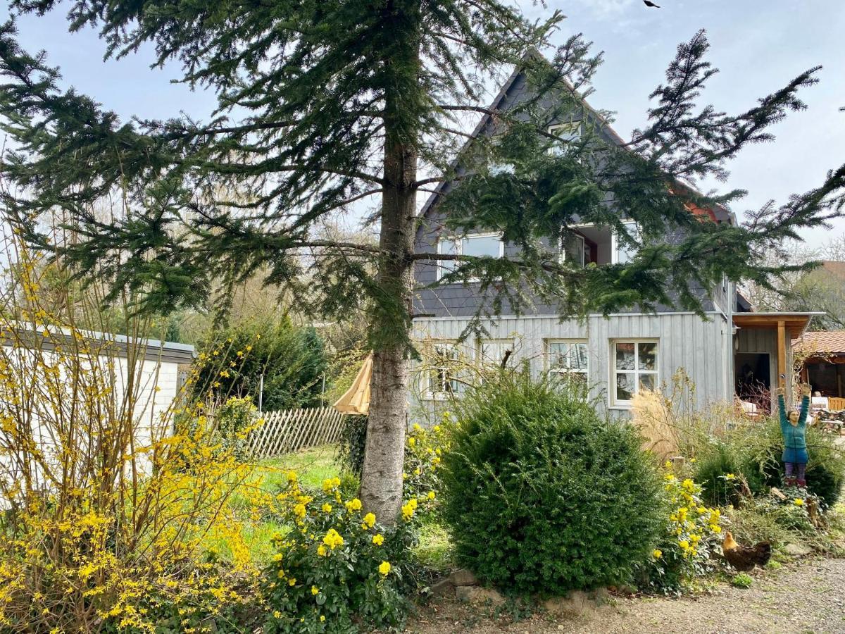 Gronocottage Bad Harzburg Zewnętrze zdjęcie