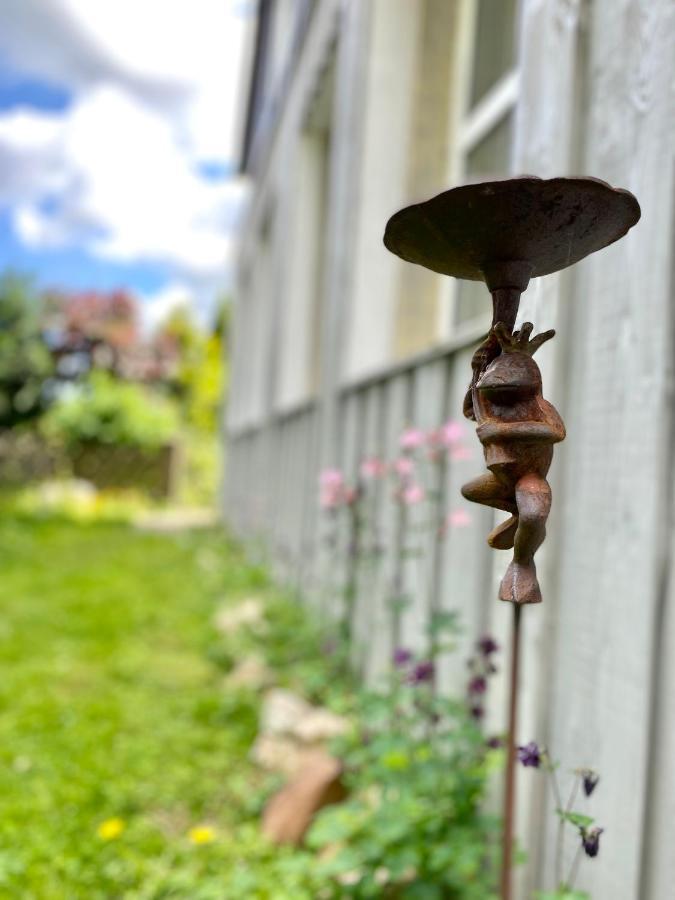 Gronocottage Bad Harzburg Zewnętrze zdjęcie